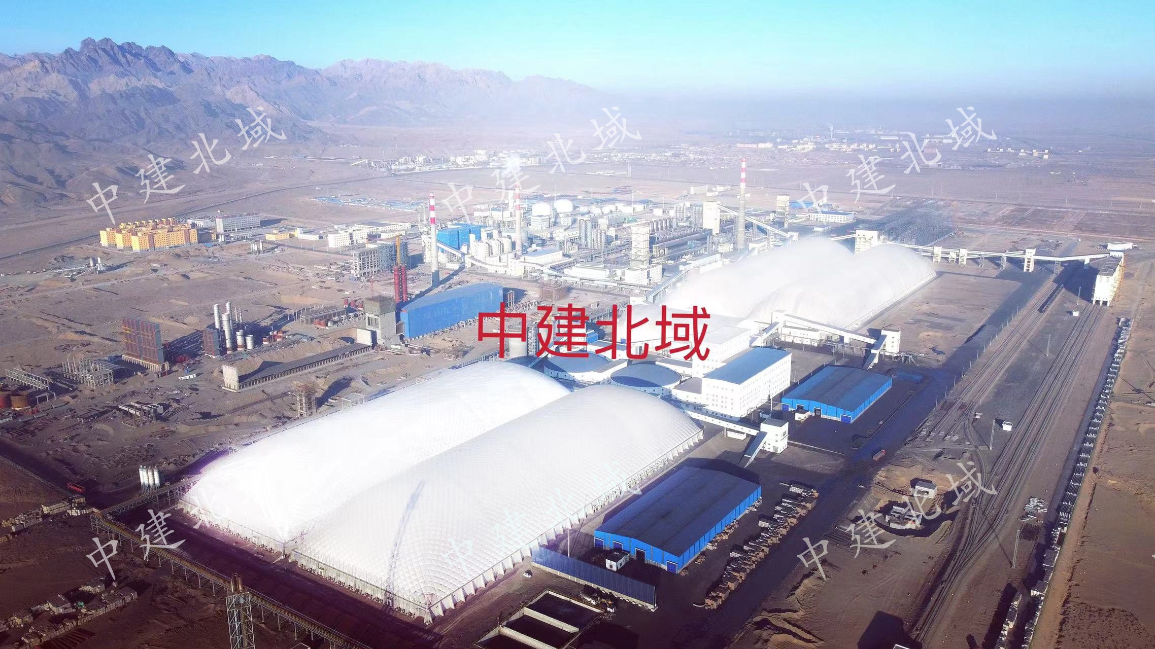 黑貓3.jpg 黑貓3.jpg